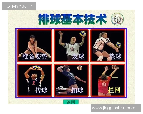 排球配合实力排行榜揭晓各队表现与潜力分析