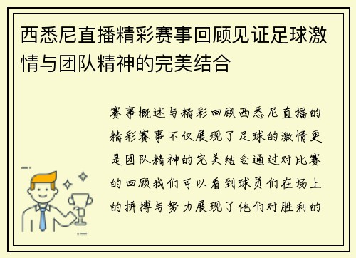 西悉尼直播精彩赛事回顾见证足球激情与团队精神的完美结合